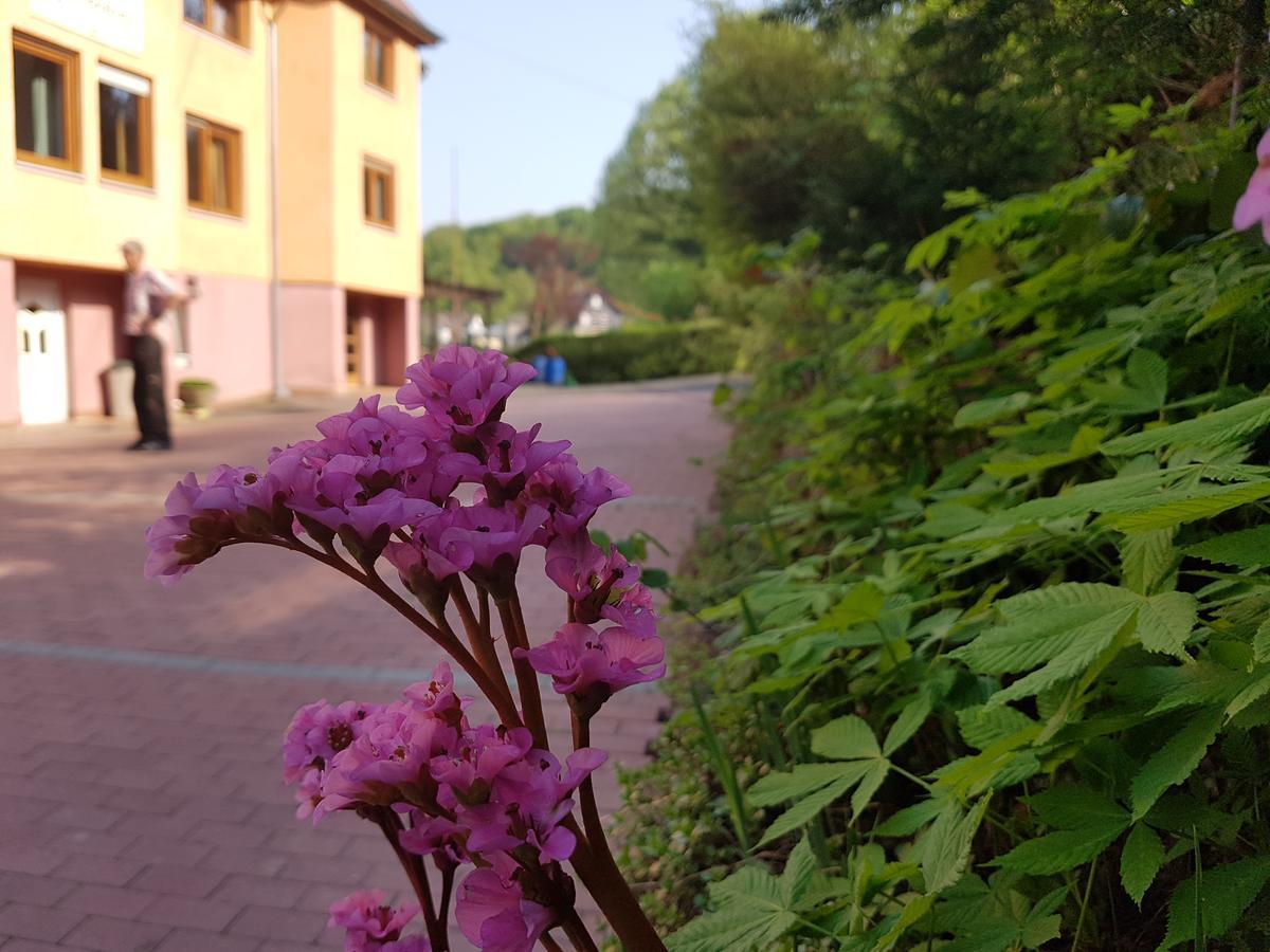 Hotel Zur Engelsburg Hausen-Wied Екстериор снимка